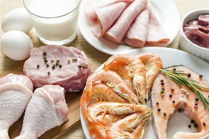protein dietary rules for weight loss